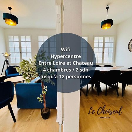 Le Choiseul - T5 Entre Loire Et Chateau Royal - Manoir De La Concorde Amboise Exterior photo